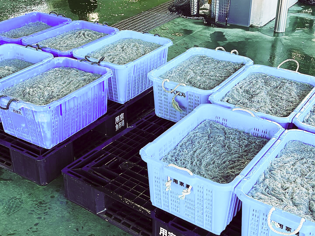 業務用のお取引について